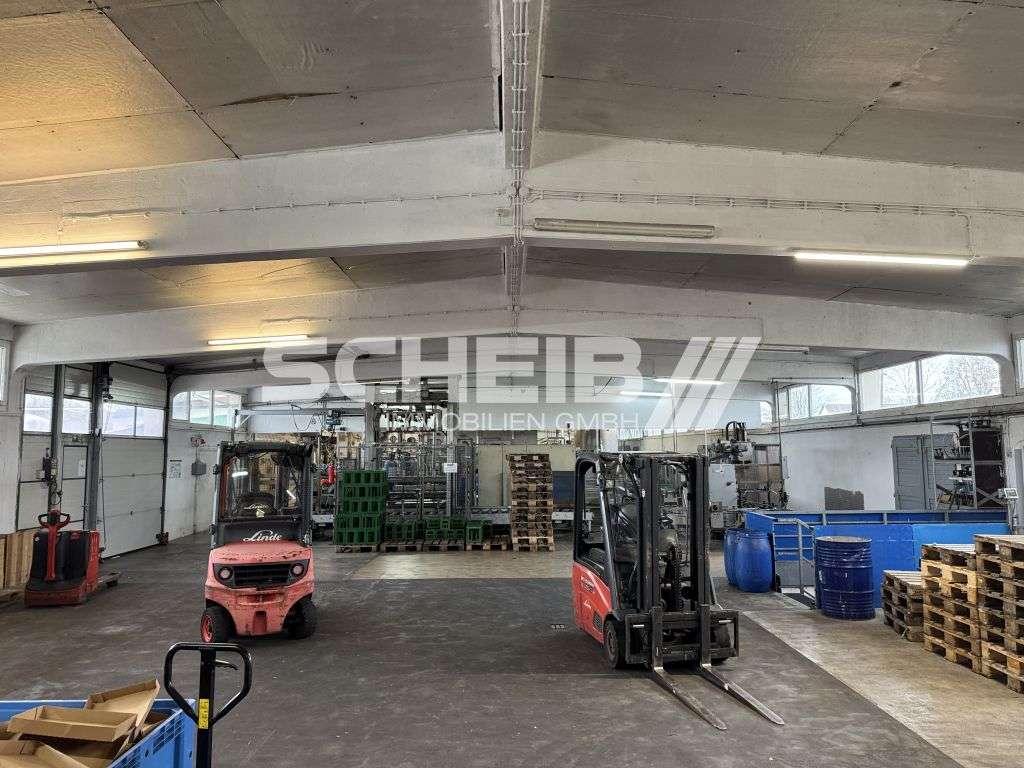 Solide Gewerbehalle mit Büro und sanitären Anlagen zu vermieten